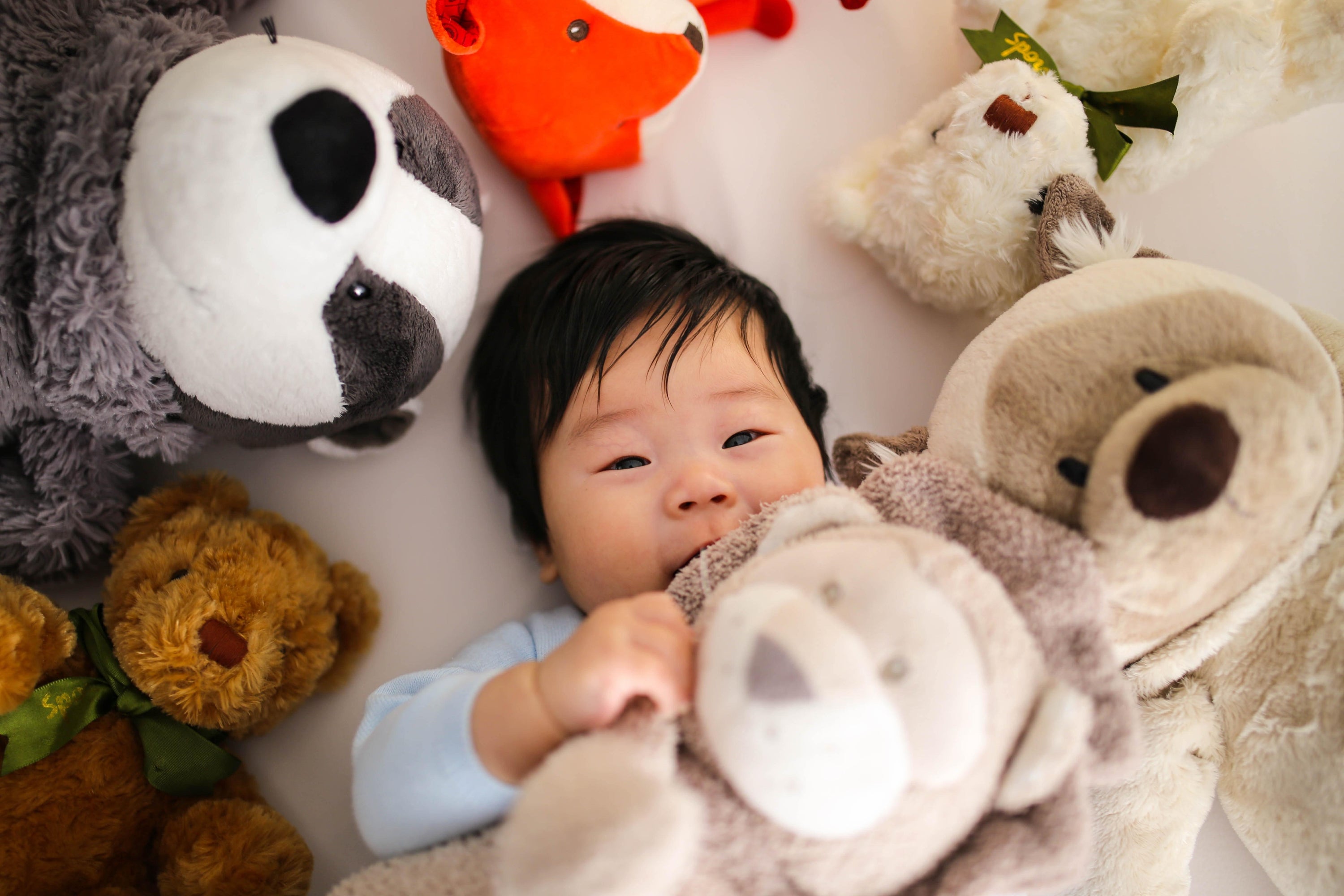 What is a ‘lovey’ and why is your child so attached to it? - Learning Time HK