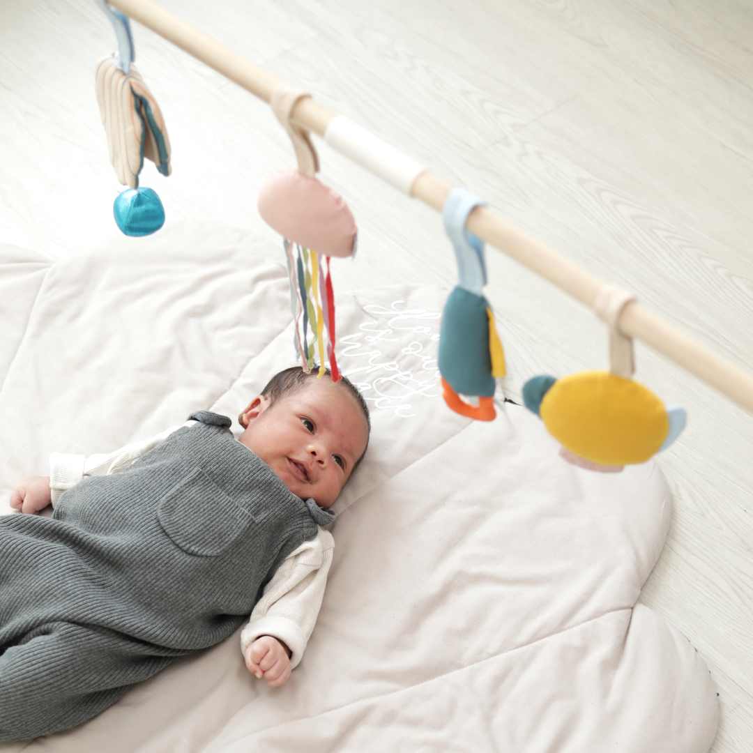 Play &amp; Learn Program (Stage 1 to 8)