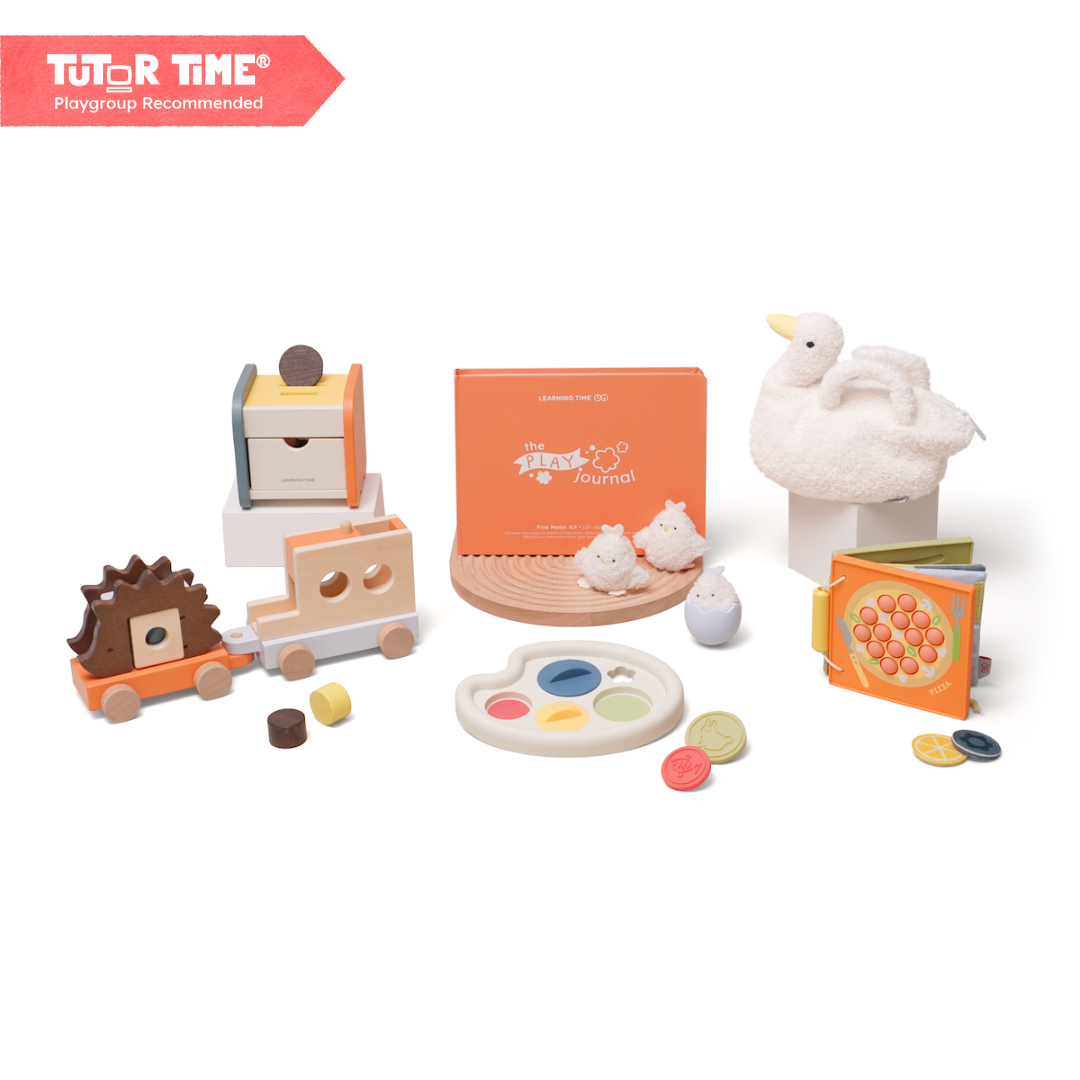 The Fine Motor Kit